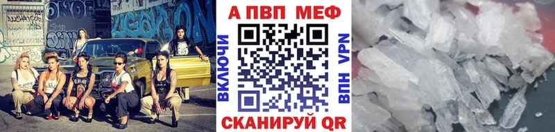Alfa_PVP СК КРИС  Чегем 