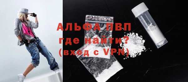 стафф Вязьма