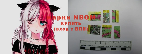 сатива Волоколамск
