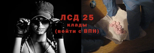 сатива Волоколамск