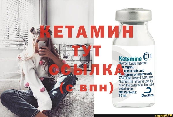 стафф Вязьма