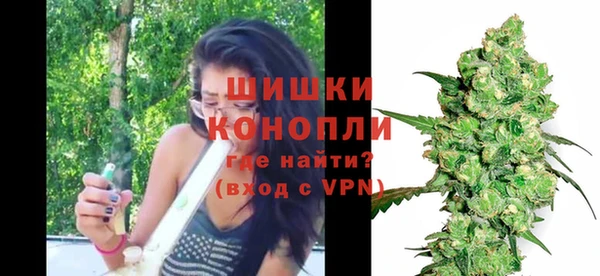 стафф Вязьма