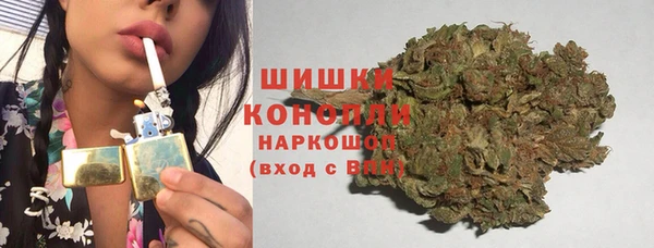 сатива Волоколамск