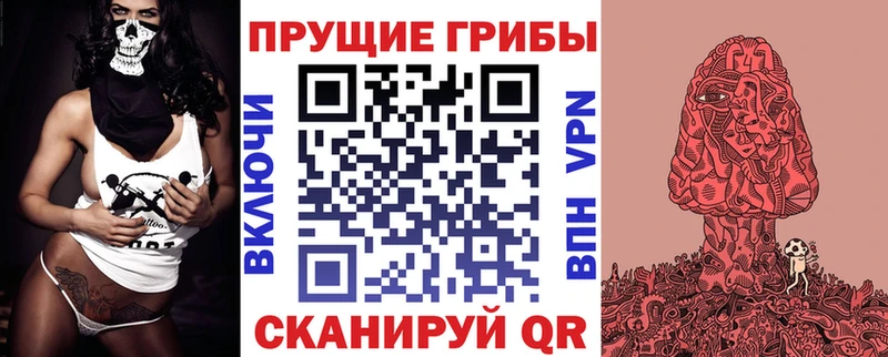 где купить наркотик  Чегем  KRAKEN ССЫЛКА  Псилоцибиновые грибы GOLDEN TEACHER 